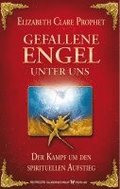 Gefallene Engel - Der Kampf um den spirituellen Aufstieg