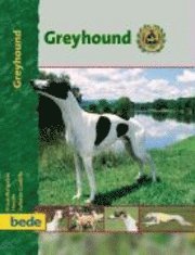 PraxisRatgeber Greyhound