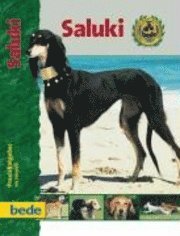Iris Schmidt - PraxisRatgeber Saluki, Inbunden
