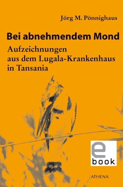 Jorg M. Ponnighaus - Bei abnehmendem Mond, E-bok