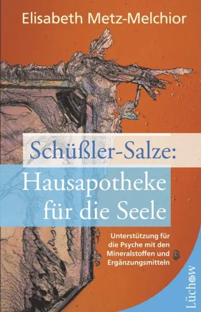 Elisabeth Metz-Melchior - Schüßler-Salze - Hausapotheke für die Seele, E-bok. Tillgänglighet: Lägg i varukorg