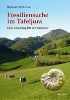 Ronald OTTIGER - Fossiliensuche im Tafeljura, Inbunden