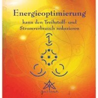Werner Neuner - Energieoptimierung, Häftad