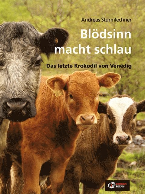 Andreas Sturmlechner - Blödsinn macht schlau, E-bok