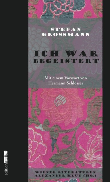 Stefan Gromann, Alexander Kluy - Ich war begeistert, E-bok