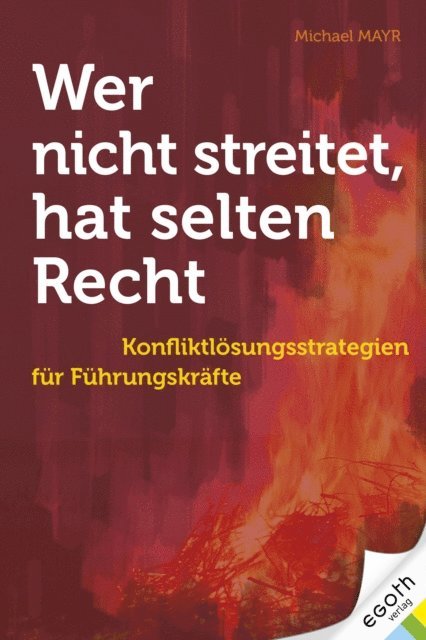 Michael Mayr - Wer nicht streitet hat selten Recht, E-bok
