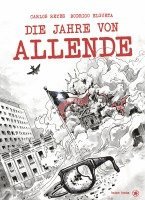 Carlos Reyes - Die Jahre von Allende, Inbunden