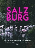 Seiler Christian, Andreas Gfrerer - Salzburg, Häftad