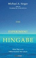 Das Experiment Hingabe
