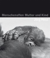 Jörg Hess - Menschenaffen - Mutter und Kind, Inbunden