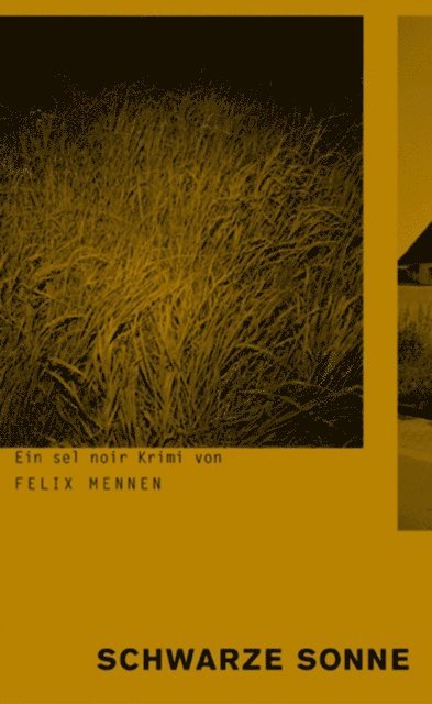 Felix Mennen - Schwarze Sonne, E-bok