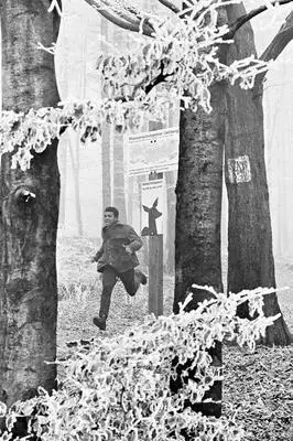 Erich Bachmann - Muhammad Ali, Zurich, 26.12.1971, Inbunden. Tillgänglighet: Lägg i varukorg