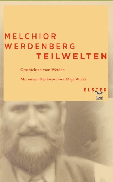 Melchior Werdenberg - Teilwelten, E-bok