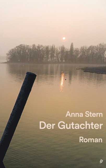 Anna Stern - Der Gutachter, E-bok