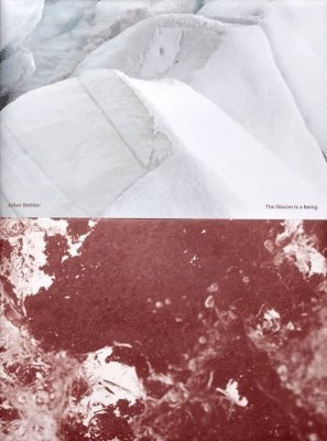 Julian Stettler - Glacier is a Being, Inbunden