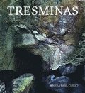 Tresminas: Eine Kurze Einfuhrung in Das Romische Goldbergwerk