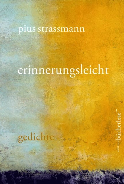 Pius Strassmann - erinnerungsleicht, E-bok