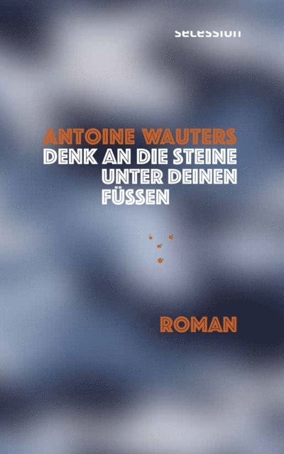 Antoine Wauters - Denk an die Steine unter Deinen Füssen, E-bok