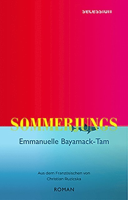 Emmanuelle Bayamack-Tam - Sommerjungs, E-bok