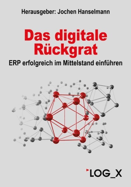 Fabian Betz, Lukas Finke, Sebastian Mank, Oliver Roppelt, Jochen Hanselmann - Das digitale Rückgrat, E-bok