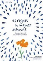 Maria de Greef - Es regnet in meiner Zukunft, Häftad