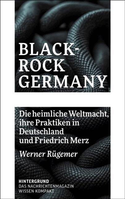 Werner Rugemer - BlackRock Germany, E-bok