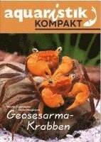 Geosesarma-Krabben - aquaristik KOMPAKT