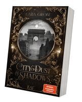 Lara Große - City of Dust and Shadows, Häftad