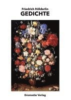 Friedrich Hölderlin - Gedichte, Häftad