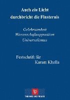 Brigitte Dottke, Detlef Quintern - Auch ein Licht durchbricht die Finsternis, Häftad