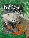 Grne Leguane