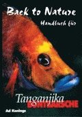 Tanganjika Buntbarsche