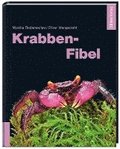 Krabben-Fibel