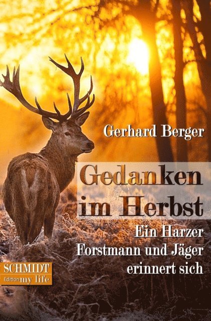 Gerhard Berger - Gedanken im Herbst, E-bok