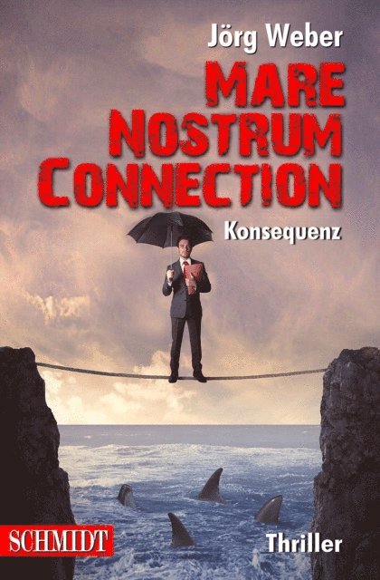Jorg Weber - Mare Nostrum Connection 1: Konsequenz, E-bok
