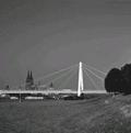 Rhine Bridges