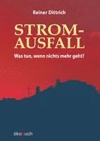 Reiner Dittrich - Stromausfall, Häftad