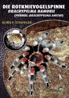 Boris Striffler - Die Rotknie Vogelspinne, Häftad