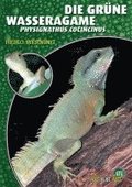 Die Grne Wasseragame