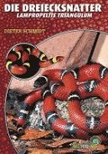 Die Dreiecksnatter