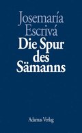 Die Spur des Sÿmanns