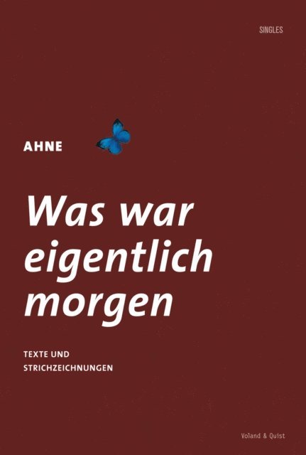 Ahne - Was war eigentlich morgen, E-bok