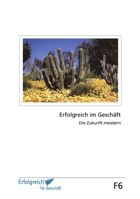 Gerhard Gieschen, Martina Caspary - Modul F6: Die Zukunft meistern, E-bok