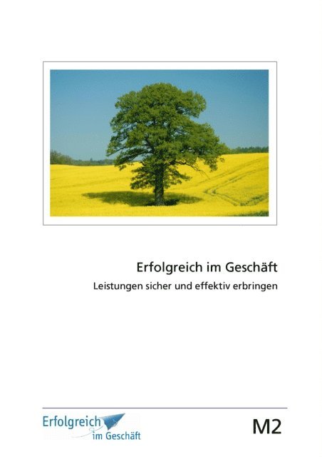 Gerhard Gieschen, Susanne Kriegelstein, Martina Caspary - Modul 2: Leistungen sicher und effektiv erbringen, E-bok
