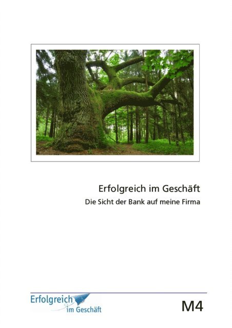 Gerhard Gieschen, Susanne Kriegelstein, Martina Caspary - Modul 4: Die Sicht der Bank auf meine Firma, E-bok