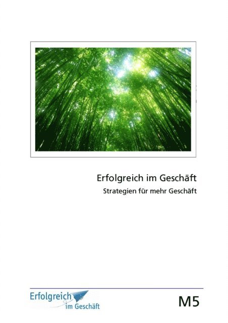 Gerhard Gieschen, Susanne Kriegelstein, Martina Caspary - Modul 5: Strategien für mehr Geschäft, E-bok