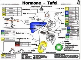 Hormone Tafel, Häftad