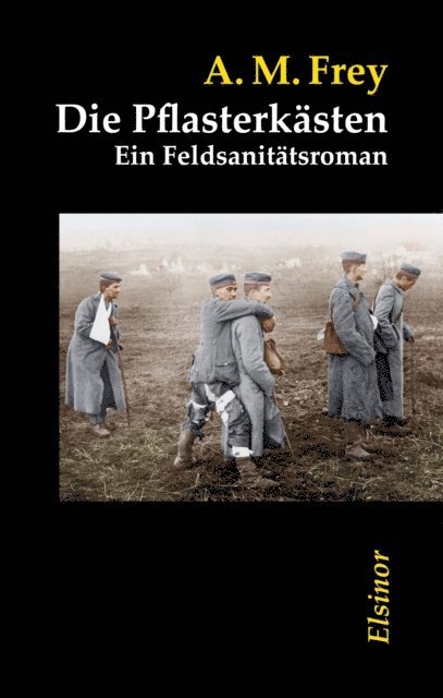 Alexander-Moritz Frey - Die Pflasterkästen, E-bok