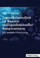 Karl Kipping - Jugendkriminalität im Kontext multiprofessioneller Kooperationen, Häftad
