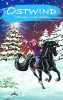 Schwarz Rosa - Ostwind - Rettung an Weihnachten, Häftad